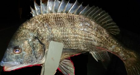 またもや起死回生